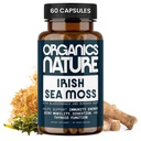 ORGANICS NATURE Irish Sea Moss Capsules 45 Servings | High Potency Seamoss Pills | Dr. Sebi genehmigt Sea Moss for Energy 90 Vegan Capsules