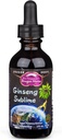 Dragon Herbs Ginseng Sublime Drops | Alle natürlichen Extrakt Ergänzung zu unterstützen Energie, Stress, Fokus, Haut, Ausdauer, Lunge, Immune Gesundheit | Amerikanisch, Rot und Weiß Ginseng | 2 fl. Unze