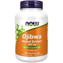 NOW Integratori, Estratto di erbe di Ojibwa 450 mg, Miscela concentrata, Alcol-fFree, 4:1 Estratti di erbe, 180 capsule di Veg