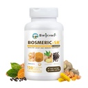 Joint Immun Support Supplement, patentiertes Blend Turmeric Curcumin C3 Complex mit schwarzem Pfeffer, Boswellia PS Extract & Ginger, Fast-Acting 20 Minuten, 8-Hour Sustained Release, 120 Caplets - Sanjevani