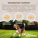 Condiments pour chiens Soutien respiratoire pour chiens Un complément naturel pour chiens pour la respiration optimale, les sinus clairs, la toux, les éternuements et le soulagement de la congestion pour chiens