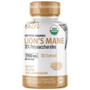 Nature's Fusions Nutri Organic Lions Mane Supplement Kapseln - 1900 mg, 10:1 Dual Extraction, 120 Count - Pilzextrakt (Fruiting Body) - Third Party Tested