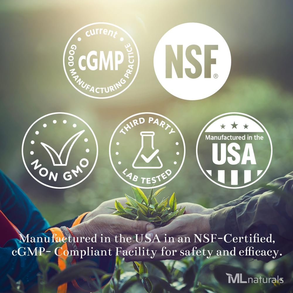 ML Naturals Phosphatidyl Serine 200 mg (Standard) 240 pflanzliche Kapseln. Unterstützt Memory & Brain Funktion, Non-GMO, NSF-zertifiziert & cGMP-Compliant