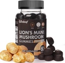 Lions Mane Mushroom Gummis für Nootropic Brain Supplement, Immununterstützung,Stress Relief Pilz Supplement Berrry Flavor 60 Count
