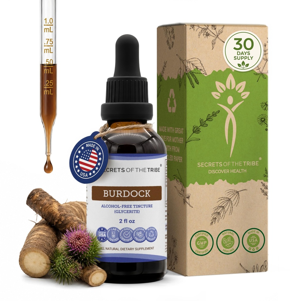Segreti della Tribe Burdock Tincture Alcohol-Free Liquid Extract, Burdock (Arctium Lappa) Dried Root 2 FL OZ
