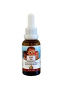 Huile d'oreille pour bébé à bout de punkine , Ail biologique, Mullein, Calendula gouttes d'oreilles sans danger pour les nourrissons (1 oz)