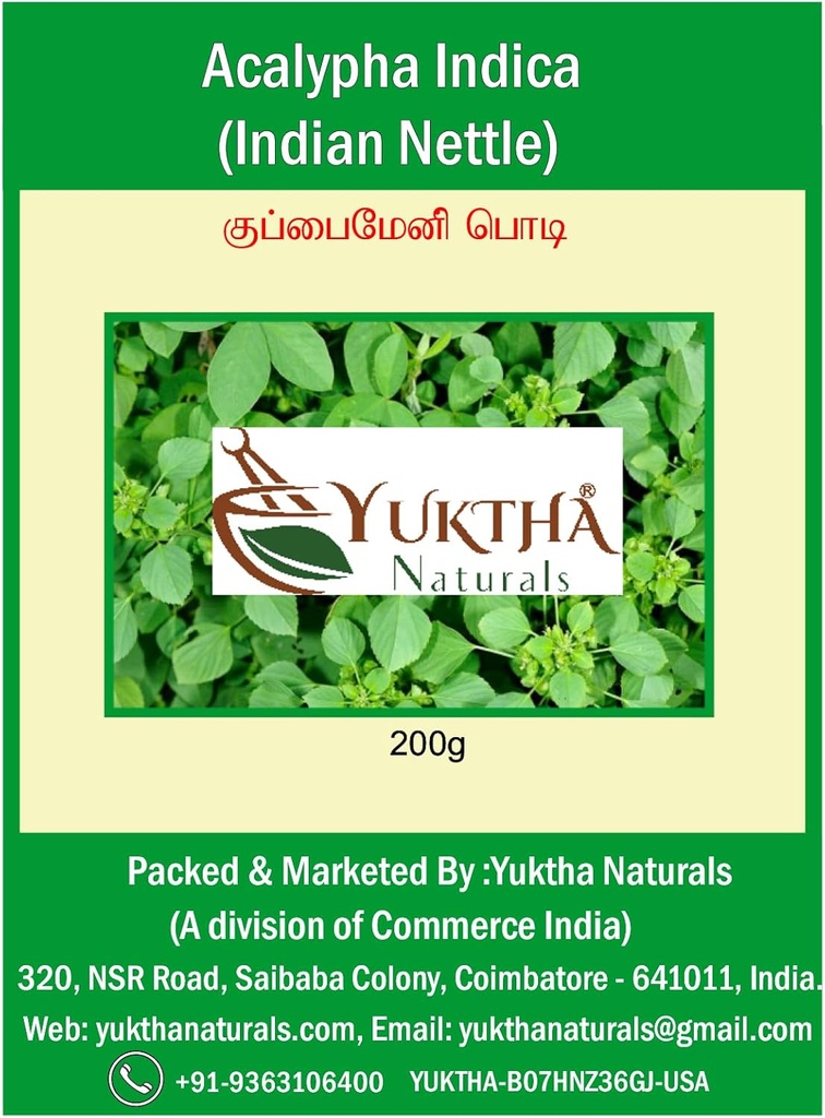 Natürliche Harita Manjari Kuppaimeni/Acalypha Indica Powder/Indian Nettle - 200g