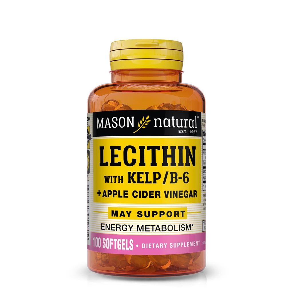 MASON NATURAL Lecithin mit Kelp, Vitamin B6 & Apple Cider Essig, Dual Action Formula, 100 Softgels
