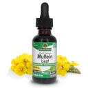 Risposta della natura Mullein Leaf | Supplemento erbe | Supporta la funzione respiratoria & Mucous Membranes | Non-GMO & Kosher | Gluten-Free & Alcohol-Free 1oz (2 Pack)