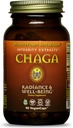 HealthForce SuperFoods Integrity Extrakte Chaga – Kapseln - 90 Vegan Kapseln