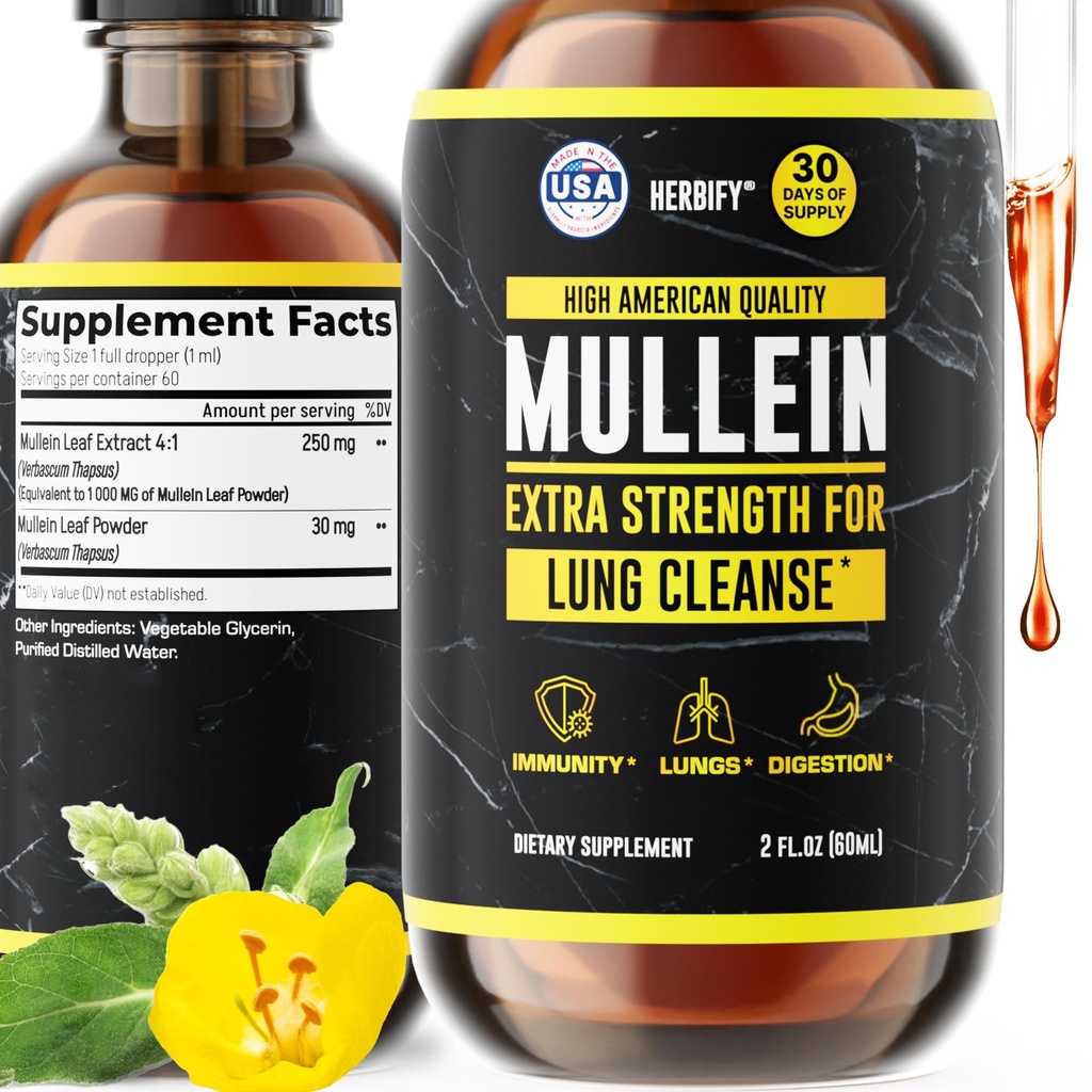 Herbify Mullein Extract 2 oz Teinture pour la santé respiratoire, la feuille de Mullein et le mélange de fleurs (Verbascum Densiflorum)