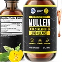 HERBIFY Mullein Extract 2 oz Tintura per la salute respiratoria, foglia di Mullein e miscela di fiori (Verbascum Densiflorum)