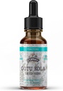 Teinture de kola Gotu, extrait de kola Gotu biologique, gouttes de kola Gotu (Centella Asiatica) Herbe séchée
