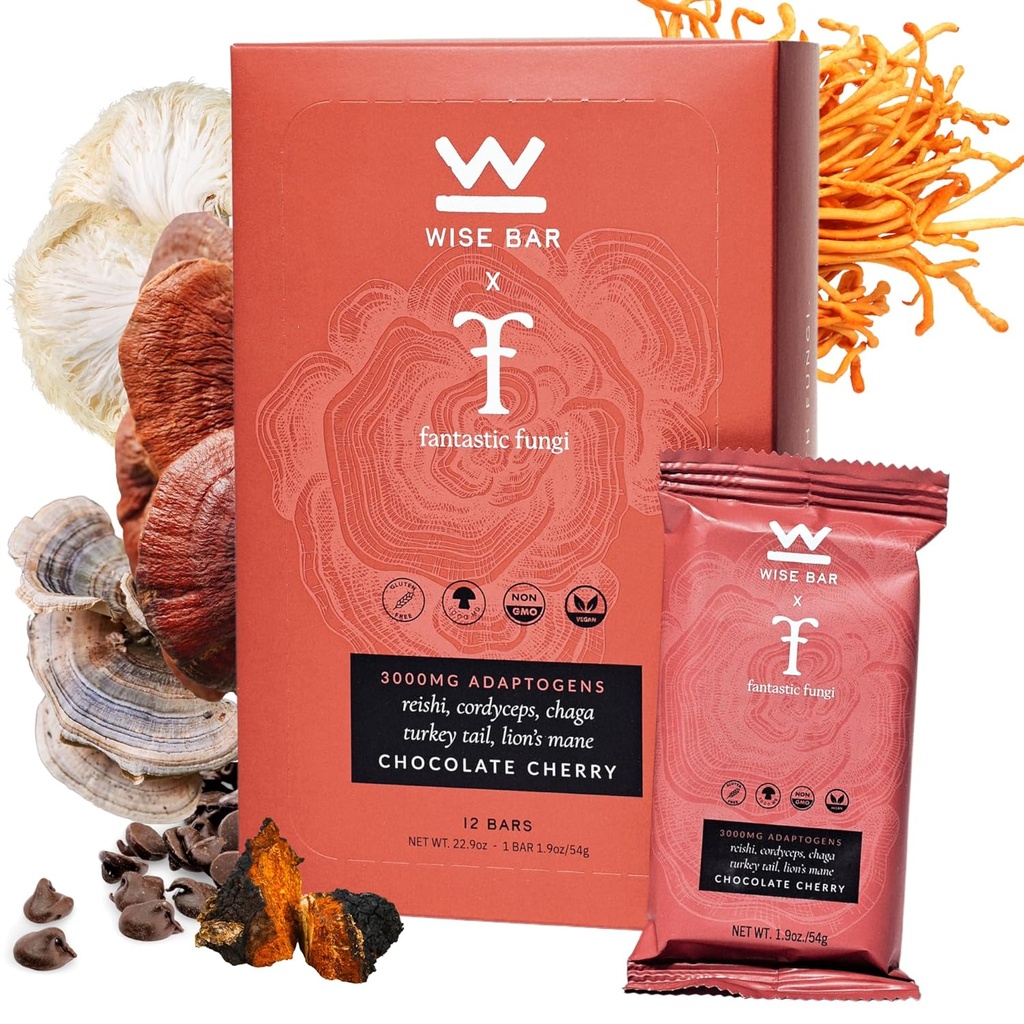 Bar Sage Adaptogen Mushroom Nutrition Bars avec Reishi, Lions Mane & Ashwagandha, Organic Vegan & Gluten sans collations pour le focus naturel, l'énergie et le soutien immunitaire, Chocolate Cherry Flavor, 12 comtes