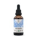 Astragalus USDA Organic Alcohol-Free Extract | Supplemento alimentare, High-Potency Tincture | Natural Certified Organic Astragalus (Astragalus membranaceus)