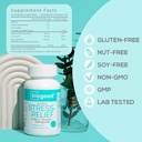 Soulagement du stress avec Ashwagandha + L-Theanine, GABA, 60 Gummies