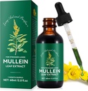 Gouttes de Mullein pour les poumons, gouttes de teinture de Mullein Leaf, 2 fl oz.