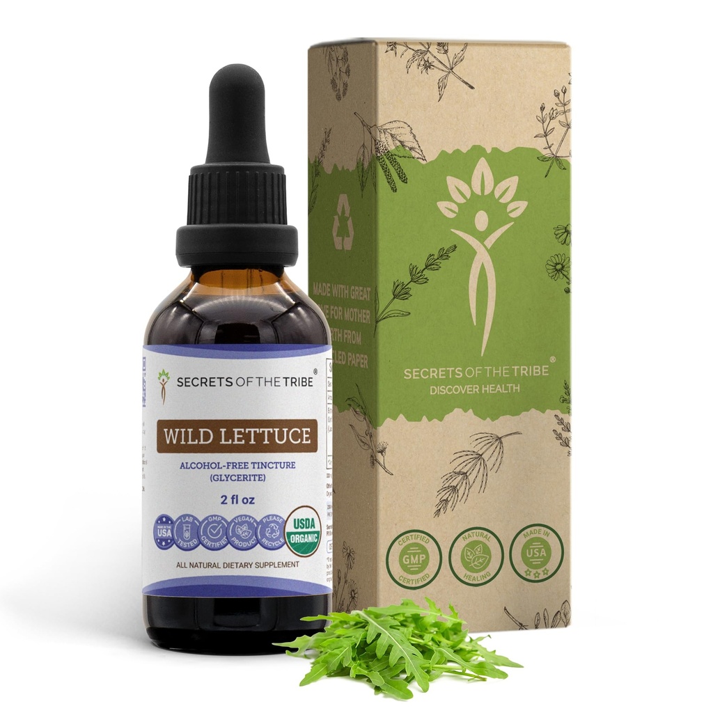 Segreti della Tribe Wild Lettuce Alcohol-Free USDA Organic Tincture Extract, Wild Lettuce (Lactuca virosa)