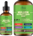 4-en-1 gouttes de molléine pour les poumons, feuille de molléine biologique et le lait de poule et d'eucalyptus Extraits de feuille et d'échinacée, pour le nettoyage pulmonaire, l'immuno-respiratoire, sans sucre
