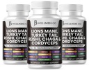 Lions Mane Supplément soutien cognitif, santé immunitaire avec la dinde Tail 20in1 Champignon Reishi Cordyceps Chaga avec la racine Marshmallow -180 Comte