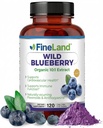 FineLand Wild Blueberry 10:1 Extrakt, 6.000 mg Stärke, 120 Vegan Kapseln, Reich an Flavonoiden & Anthocyaninen, Antioxidans Unterstützung für Gehirn & Herz Gesundheit, 4-Monat-Versorgung, Non-GMO Made in USA