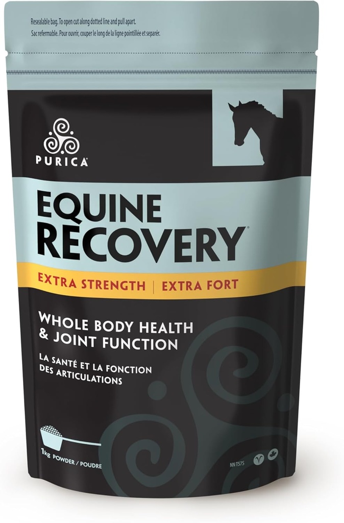 Acido ialuronico dell'equino PURICA - Integratore di sostegno congiunto del cavallo con Glucosamina, Polvere di MSM, Betaina, Magnesio, Vitamina C ed E - Estratto di semi di tè verde e di semi di uva - Forniture e Trattamenti di cavalli