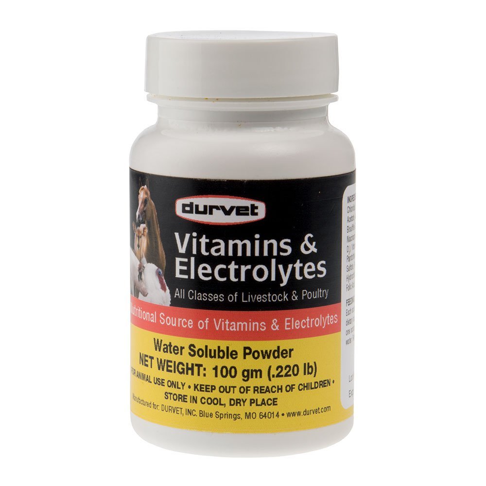 Dauer 698468 Vitamine & Elektrolyte für Vieh & Geflügel 100G