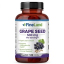 FineLand Graine Extract 50:1 – 25 000mg Équivalent par Capsule – 120 Capsules Vegan – Riche en Antioxydants