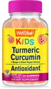 WellJa Kurkuma Curcumin mit schwarzem Pfeffergummi für Kinder - Natürliche Immununterstützung, Gelenk- und Muskelgesundheit, Verdauungsgesundheit und Gehirnfunktion - Non-GMO, Vegan, Glutenfrei - 60 Count