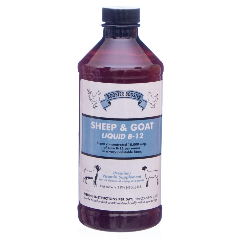 Rooster Booster B-12 Sheep e Goat Liquid, 16-Ounce