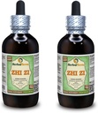 Zhi Zi, Gardenia (Gardenia Jasminoides) Glycérite, extrait liquide sans alcool de fruits séchés biologiques (marque: HerbalTerra, fièrement fabriqué aux États-Unis) 2x4 fl.oz (2x120 ml)
