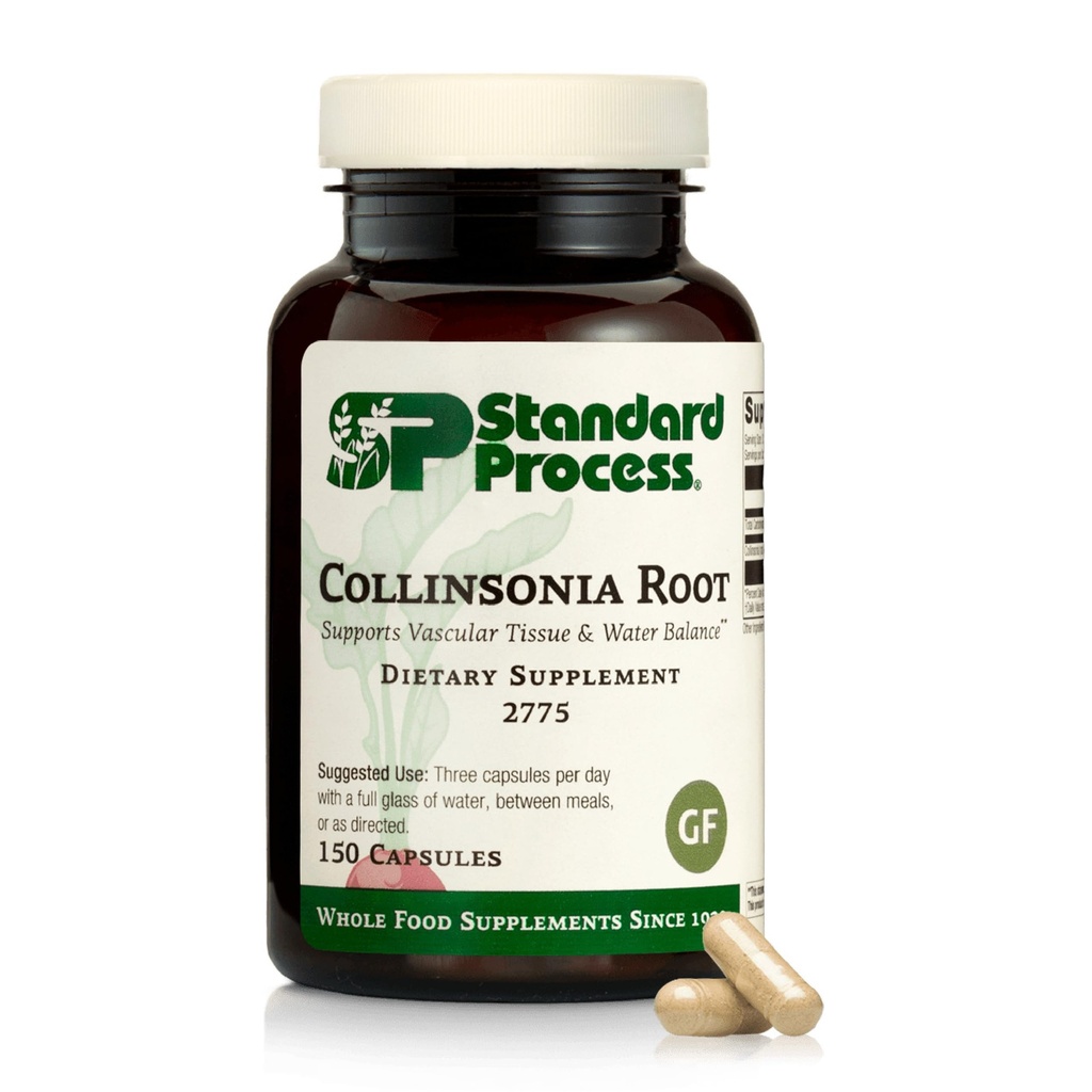 Processo standard Collinsonia Root - Integratore di supporto vascolare sano del tessuto - Integratore di salute della vescica e del rene con Collinsonia Root - Supplemento alla salute digestiva di aiuto - 150 capsule