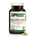 Processo standard Collinsonia Root - Integratore di supporto vascolare sano del tessuto - Integratore di salute della vescica e del rene con Collinsonia Root - Supplemento alla salute digestiva di aiuto - 150 capsule