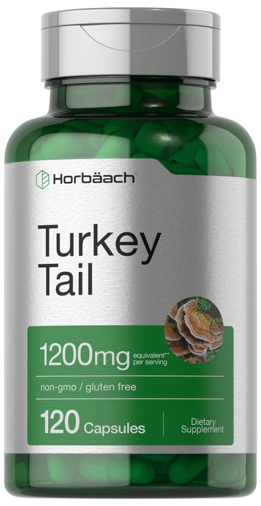 Horbäach Türkei Tail Mushroom Capsules | 1200mg | 120 Count | Non-GMO und Gluten Free Extract