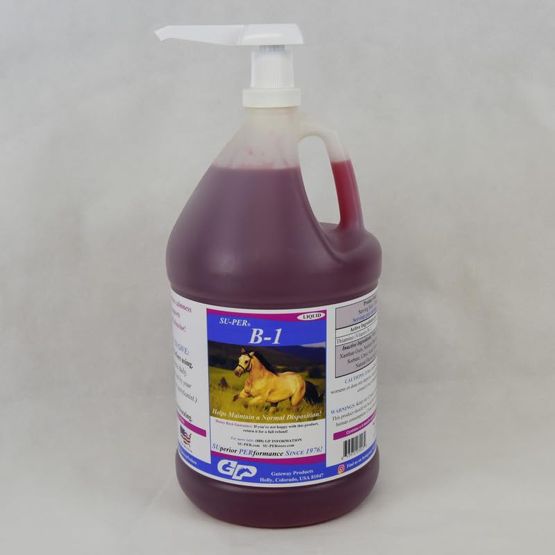 SU-PER B-1 Pferdeberechnungsergänzung - Equine Vitamin B-1 Unterstützung Pferdeberuhigungsflüssigkeit - Appetit Booster Ergänzung für Pferde - 1 Gallon + Pumpe, 4 Monate Versorgung