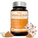 Stomach Plus-for Stomach, Gastritis, Stomach Lining Repair, Acid Reflux, Heartburn, Indigestione, con Galangal, Dong Quai, Cinnamon & Magnolia-45 capsule
