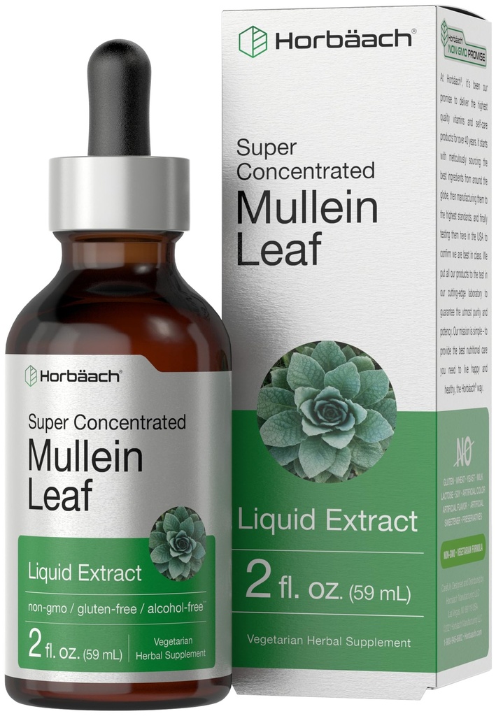 Horbäach Mullein Blatt Extrakt Tropfen | 2 fl oz | Alkoholfreie flüssige Tinktur | Vegetarisch, Non-GMO & Gluten Kostenlose Kräuterergänzung