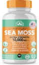 Irish Sea Moss 3.500mg, Black Seed Oil 2.000mg, Bladderwrack 1.000mg, Burdock Root | Wildcrafted Irish Seamoss | Integratore Immunity | Sea Moss with Burdock Root | 90 Count