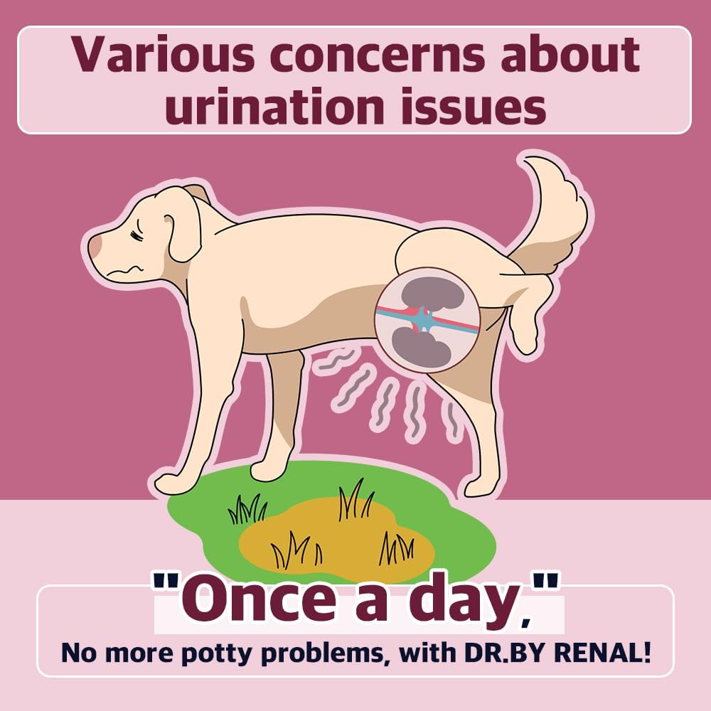 Dr.by Rênal Rein Bladder Urethra Supplément nutritionnel pour chiens et chiots - Supplément pour chien aromatisé de patate douce pour chien UTI, 30 Nombre emballé individuellement (paquet de 1)
