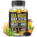 Mousse de mer, Huile de graines noires, Ashwagandha, Ginger, Shilajit Gummies avec Elderberry, Chlorophylle, Turmeric Bladderwrack Sea Gummies Formule de force avancée - Tous en 1 bloc - États-Unis Made (60 Gummies)