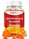 Saccharomyces Boulardii Probiotics 500mg - Suppléments santé Gut & soutien Candida, Probiotique pour les femmes et les hommes, Supports digestifs et immunitaires, Supplément, Non-OGM, Sans gluten, 60 Gommies végétaliens