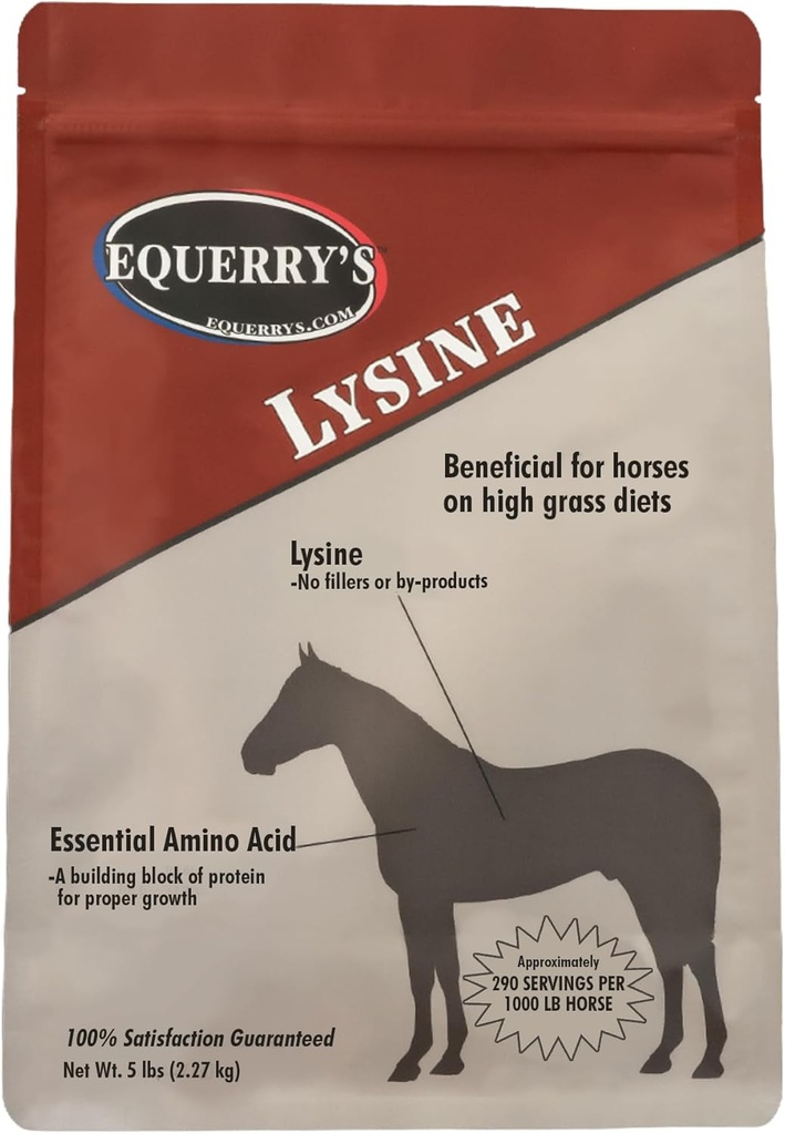 Equerry's Lysin Ergänzung für Pferde | Lysin Pulver Ergänzung für Muskelunterstützung und Immungesundheit | Balances Futter-basierte Ernährung | 5Ib Tasche