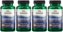 Swanson Maximum Strength Graminex Flower Pollen Extract - Supports Prostate Health, Urinary Tract Function, and Kidney Health - Mens Health Supplement - (60 Capsules, 500mg Each) (4 Pack)