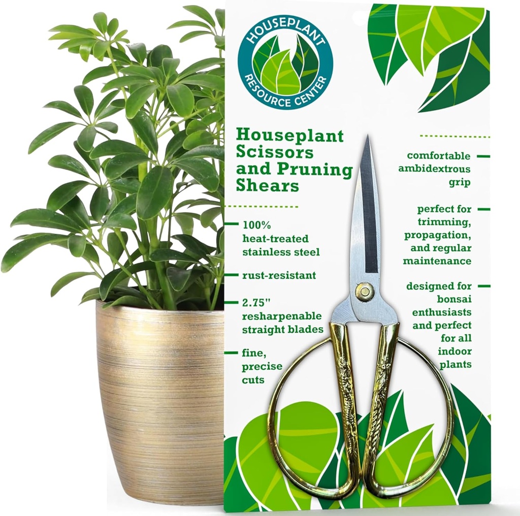 Forbici da melanzane Premium | 100% acciaio inossidabile, Clipper da giardino ultra-preciso per la propagazione e la rifilatura | ruggine-resistente, facile pulizia delle cesoie di potatura | Indoor & Outdoor | Confortevole & Ambidextrous