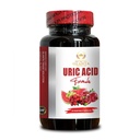 URIC Acid Support - Joint Comfort & Kidney Support Formula with Tart Cherry Extract, Milk Thistle, Celery Seed, Joint Support - 1 Bottle 60 Capsules