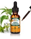 Kräuter Pharm Kids Certified- Alkoholfreie Sinus Samurai flüssige Kräuterformel, Organisch, 1 Fl Oz