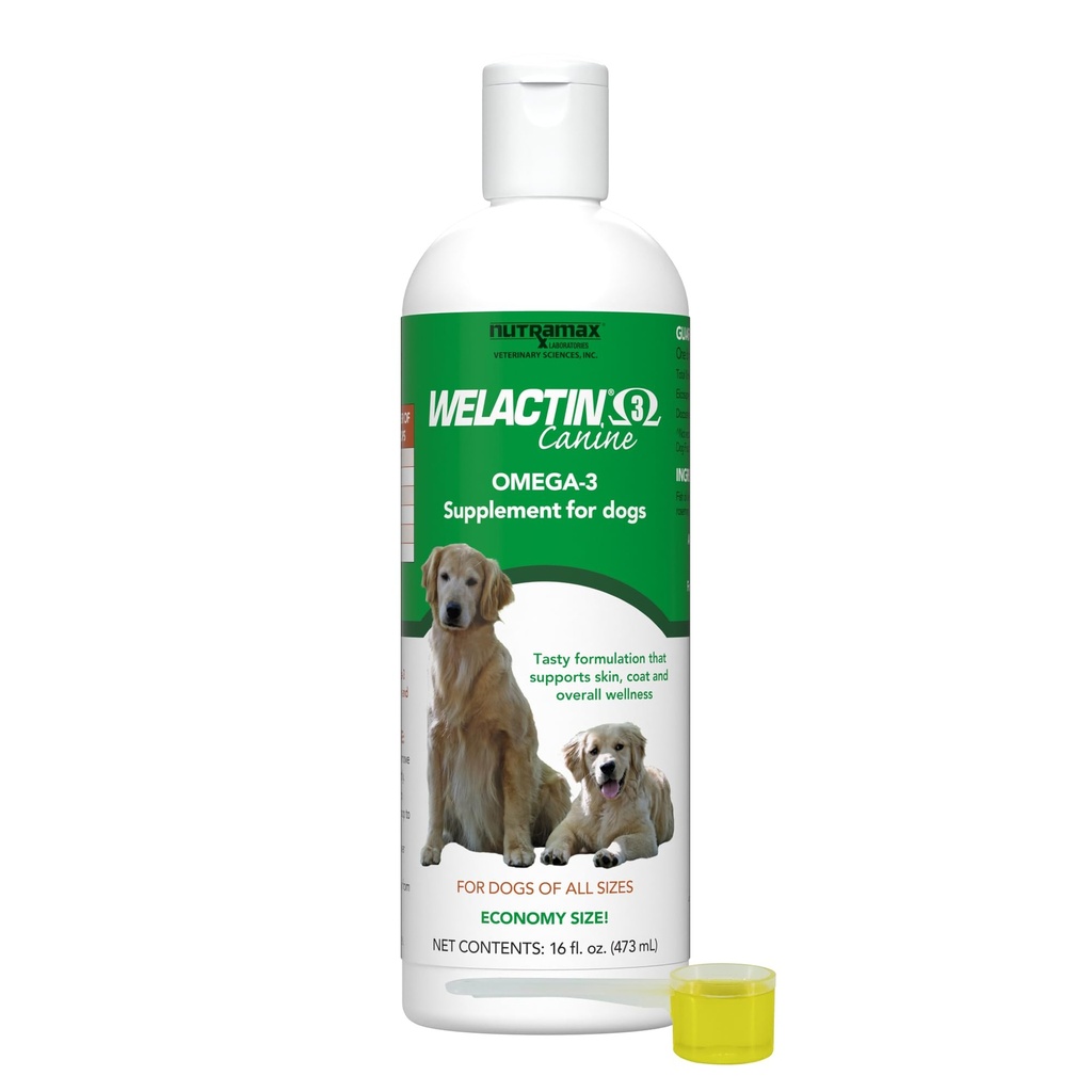 Nutramax Welactin Omega 3 Fischöl für Hunde, Haut und Mantel Health Supplement, Plus Gelenk, Immun, Nieren und Gehirn Unterstützung, Premium Omega 3 Fettsäuren, für Hunde aller Größen, 16 Unze Flüssigkeit (3 Pk)