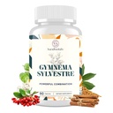 16 in 1 Blxxd Sugr Effektive Gymnema Sylvestre Supplement 2100MG | mit Berberin, Cinnamon, Bitter Melon | Vitamine, Magnesium & Chrom | 90 Vegan Kapseln Kapseln