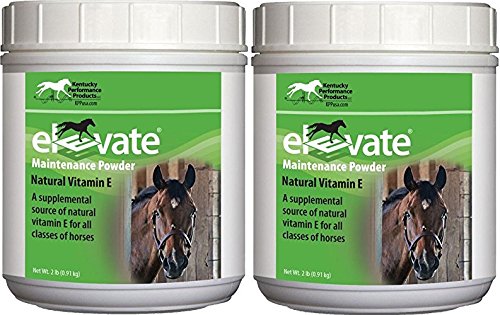 Kentucky Performance Products 2 Pack de puissance d'entretien élevée, 2 livres chacun, supplément de Vitamine E Cheval naturel