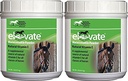 Kentucky Performance Products 2 Pack de puissance d'entretien élevée, 2 livres chacun, supplément de Vitamine E Cheval naturel